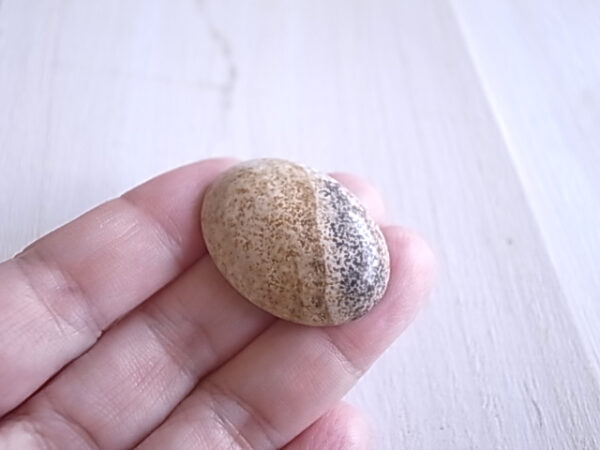 砂の流星　シリシフェイド・ピクチャーサンドストーン　南アフリカ産　天然石 - 画像 (4)