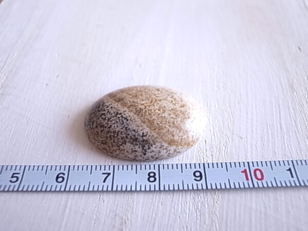 砂の流星　シリシフェイド・ピクチャーサンドストーン　南アフリカ産　天然石 - 画像 (5)