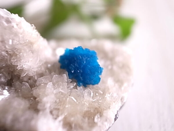 カバンサイト　インド/プネー・ワゴリ鉱山産　49ｇ　原石　