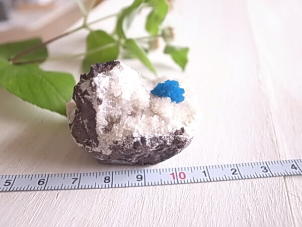 カバンサイト　インド/プネー・ワゴリ鉱山産　49ｇ　原石　 - 画像 (9)