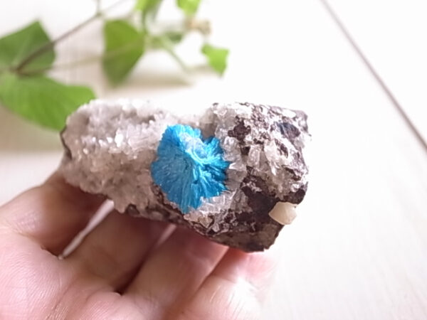 カバンサイト　インド/プネー・ワゴリ鉱山産　60ｇ　原石　 - 画像 (9)