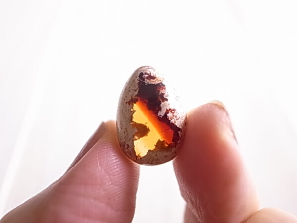 カンテラオパール　メキシコ産　ルース　天然石 - 画像 (4)
