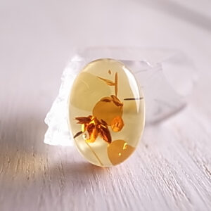 アンバー　バルト海産　琥珀1　ルース　天然石