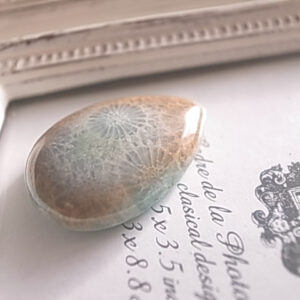 グリーンペトリファイドコーラル　フォシルコーラル　マダガスカル産　ルース　天然石