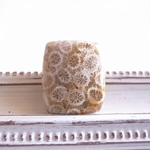 フォシルコーラル　インドネシア産　ルース　天然石