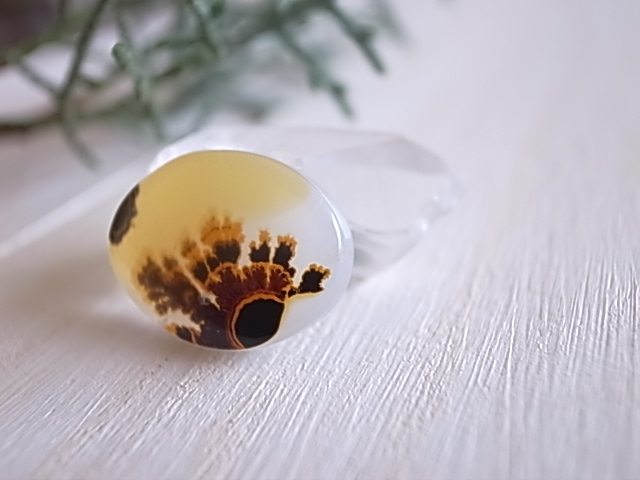 デンドリティックアゲート マダガスカル産 ルース 天然石 - 画像 (3)