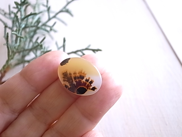 デンドリティックアゲート マダガスカル産 ルース 天然石 - 画像 (6)